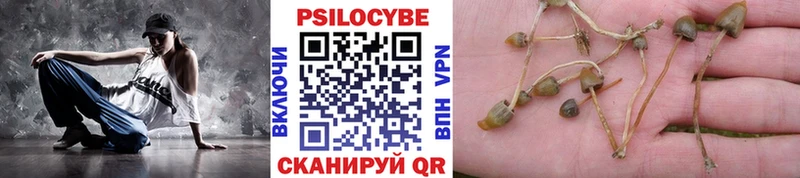 Галлюциногенные грибы прущие грибы  где найти   Заречный 